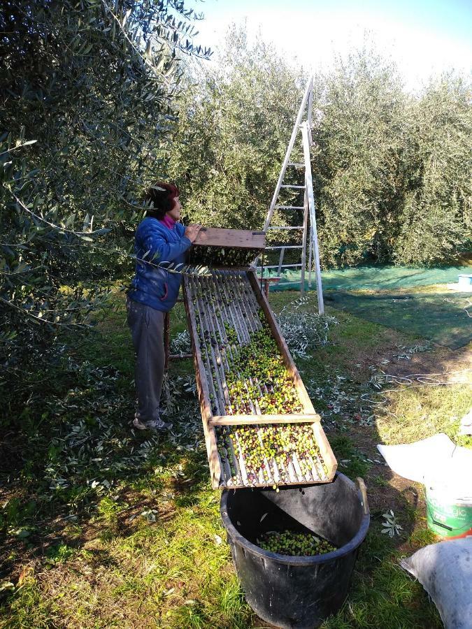 "Country House Il Brolo" Polpenazze del Garda Eksteriør billede