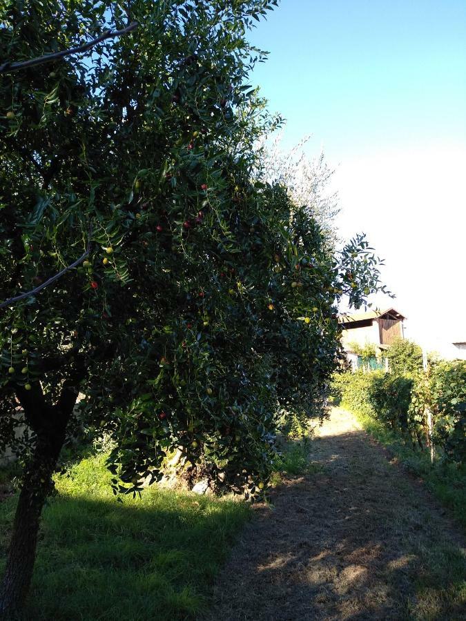 "Country House Il Brolo" Polpenazze del Garda Eksteriør billede